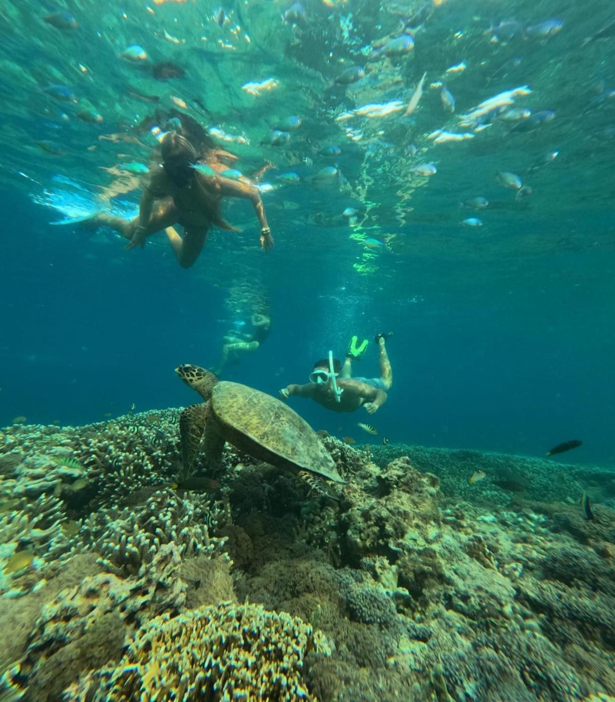 Pondok Anjani Gili Meno Exterior foto