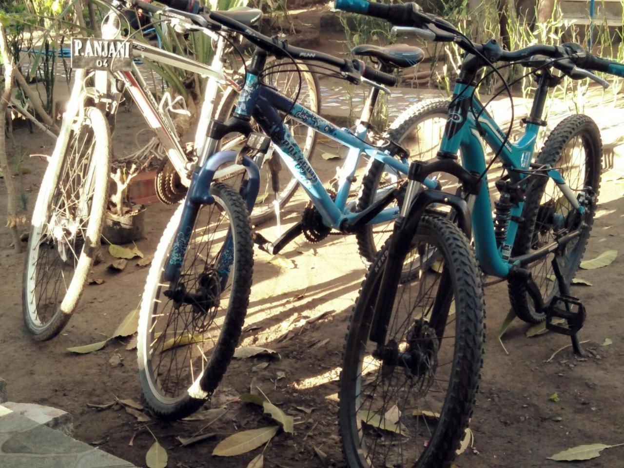 Pondok Anjani Gili Meno Exterior foto